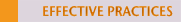 Effective Practices